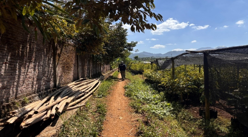 Survei Jalan Rusak